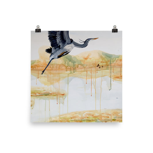 Great Blue Heron Photo paper poster