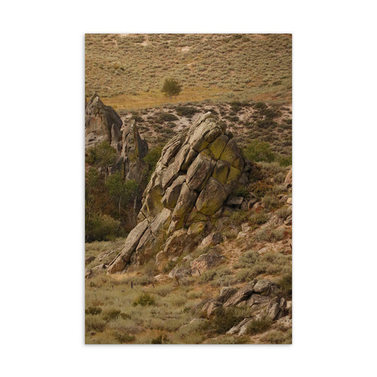 "Backroads of Montana" Standard Postcard
